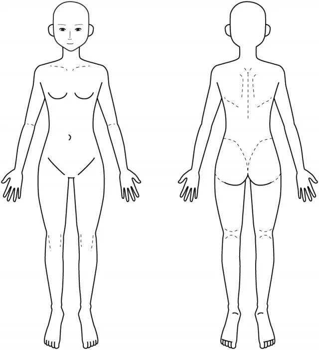 身体の全体図